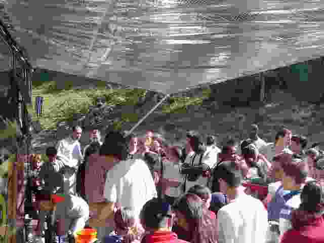 Enlarge treignac029.jpg