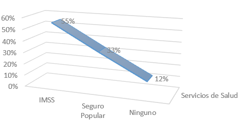 Figura 6. Porcentaje relacionado con servicios de salud