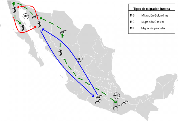 Figura 1. Tipos de migración interna en México. Fuente: Consejo Nacional de población (2016).