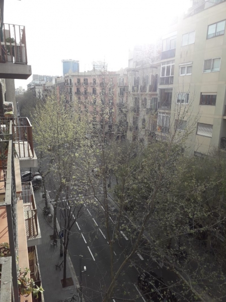 Figura 3 - Imagem desde o Front de Aragón, Barcelona março 2020.