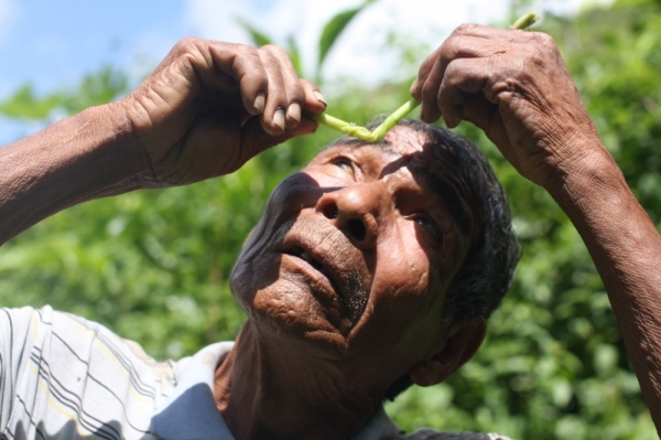 El Atancha (abuelo yukpa) Antonio Romero con una planta medicinal