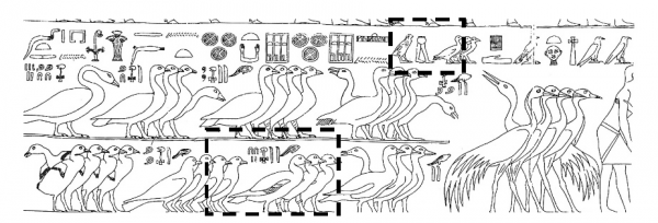 Fig.5. Mastaba de Ptahhotep II