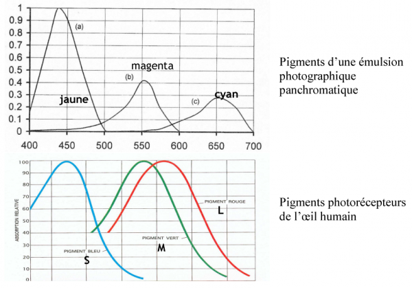 Fig.18 - L’ŒIL ET L’APPAREIL PHOTOGRAPHIQUE (longueur d’onde en nanomètres)