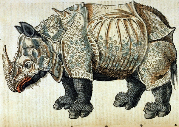 Figure 1 : Gravure tirée des Historia Animalium, livre II, de Conrad Gessner 