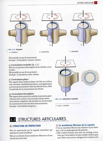 Fig. 7 : P. Kamina, Anatomie clinique, tome 1, Anatomie générale, Paris, Ed. Maloine, 2008, p. 35. Trois types de ginglyme et articulation trochoïde