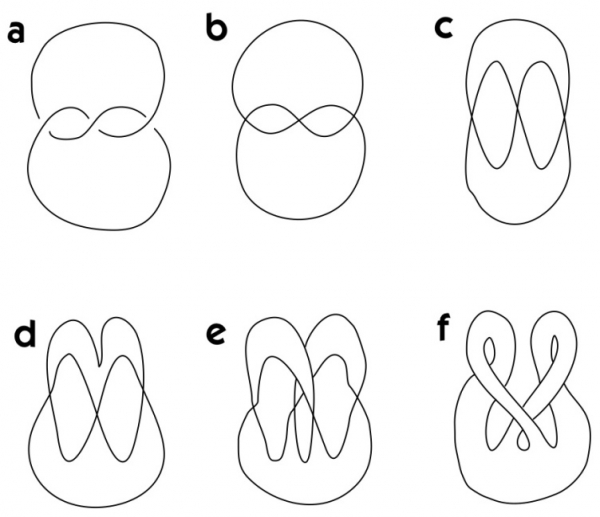Figura 8. “Iscrizione” di un nodo su una superficie.