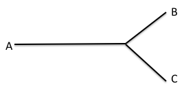 Fig. 1. Graphe de bifurcation