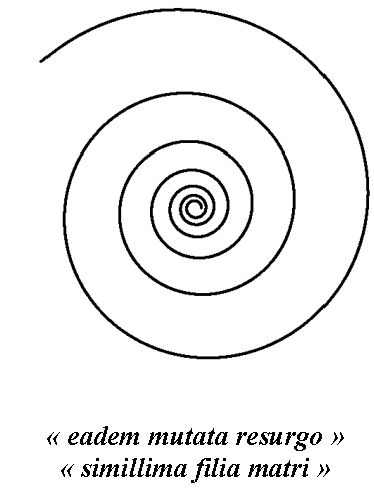 Figure 6. Spirale logarithmique ou de Bernoulli (les fractales ne sont pas les seules figures à présenter une autosimilitude)