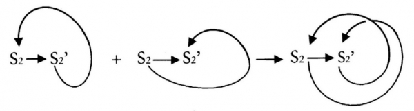 Fig. 8. après-coup rétrogrédient + après-coup progrédient → dynamique rétro-progrédiente de la signifiance 