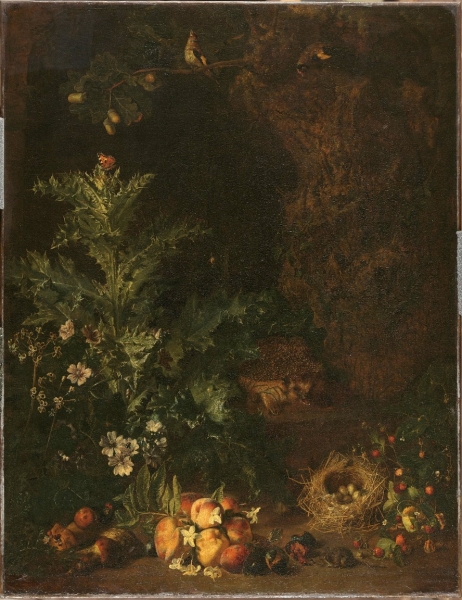 Fig. 17. Peter Snijers, Plantes et fruits avec hérisson, avant 1752, Bruxelles, Musées Royaux des Beaux-Arts de Belgique