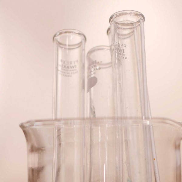 Des recherches pour améliorer la survie d'un greffon