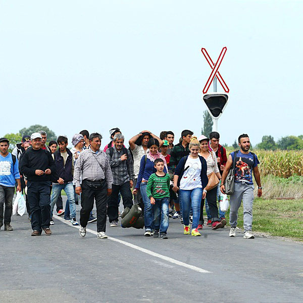 L. Pailler récompensé par l'Institut International des Droits de l'Homme