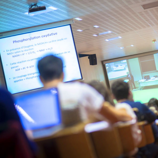 Découvrir les formations après la PACEs ?