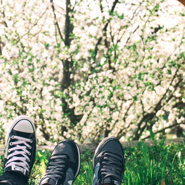Semaine de l'environnement Camus à cultiver université limoges