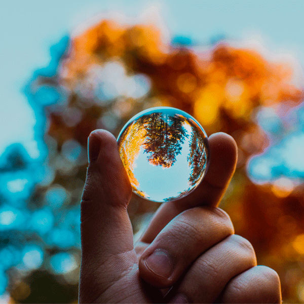 Climat et Sociétés : cycles de conférences Université de Limoges